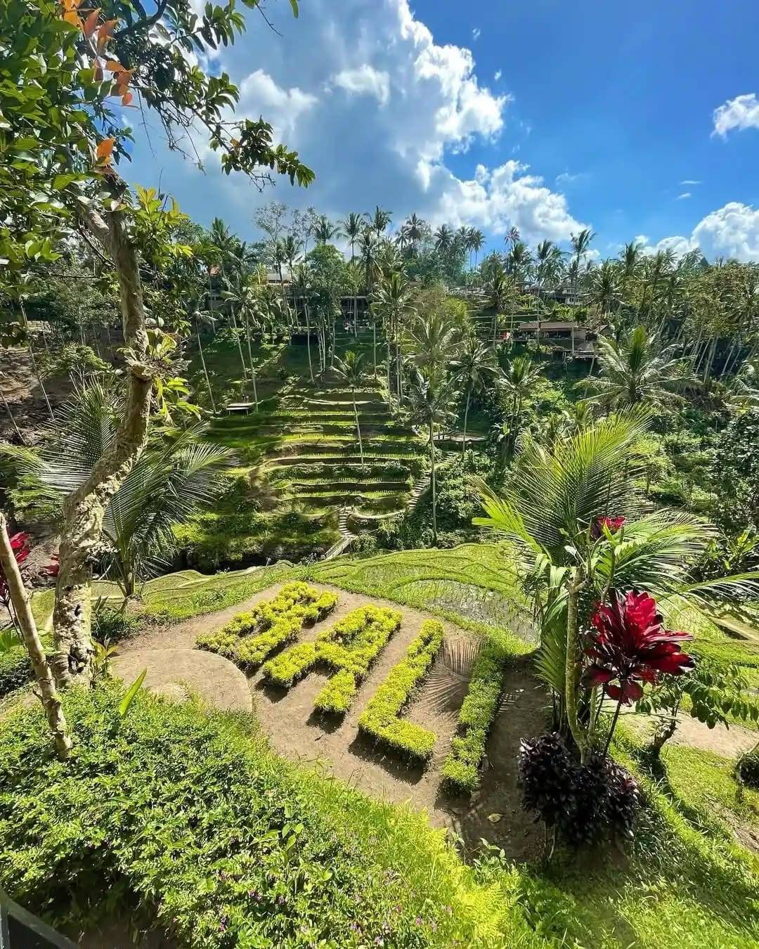 UBUD TOUR